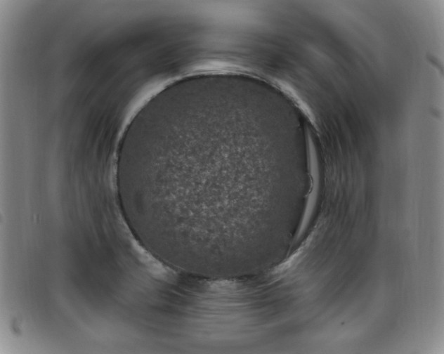 X0000098151421200804241728