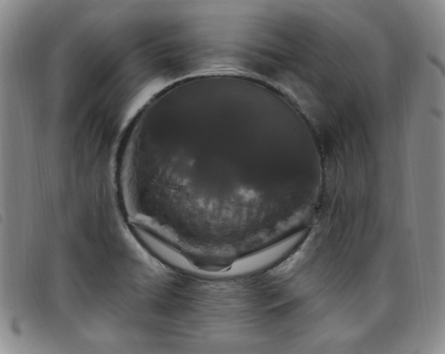X0000098151422200804241728