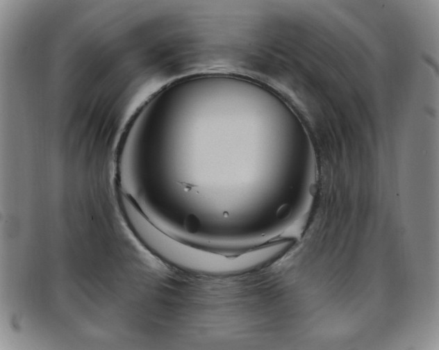 X0000098151424200804241728