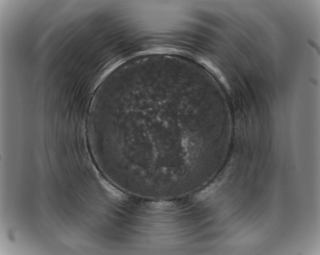 X0000098151425200804241728