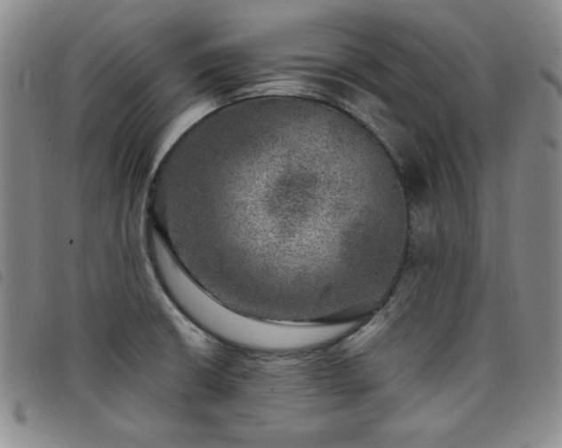 X0000098151426200804241728