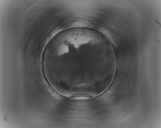 X0000098151427200804241728