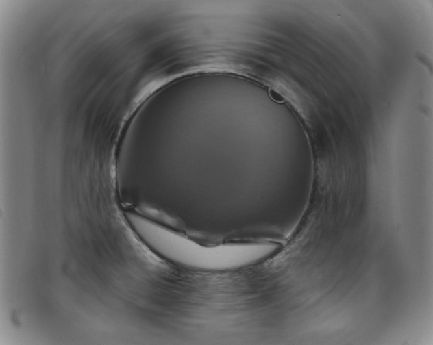 X0000098151428200804241728