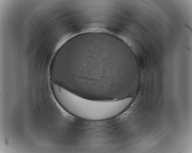X0000098151430200804241728