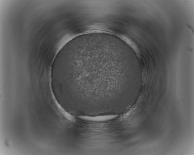 X0000098151431200804241728