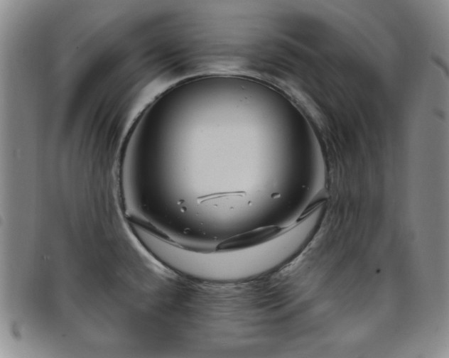 X0000098151432200804241728