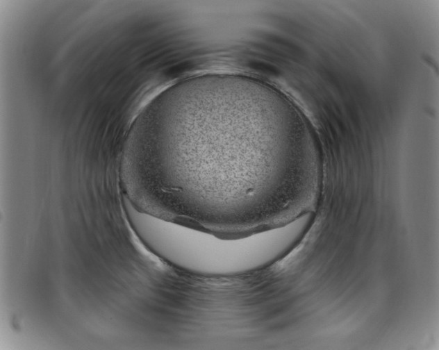 X0000098151433200804241728