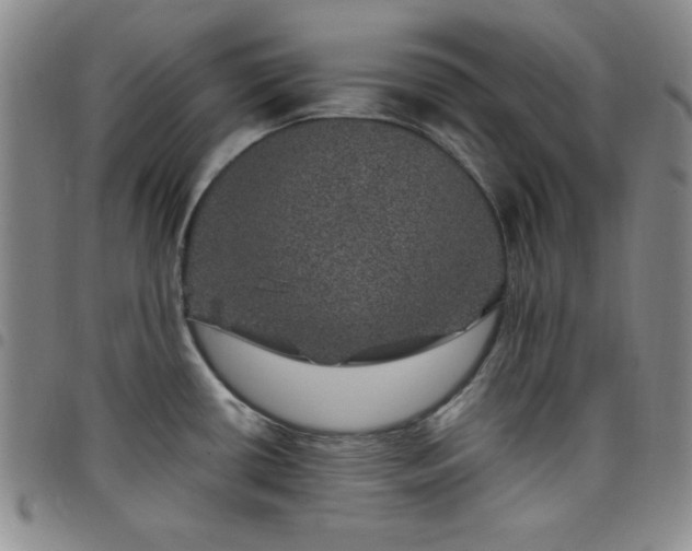 X0000098151434200804241728