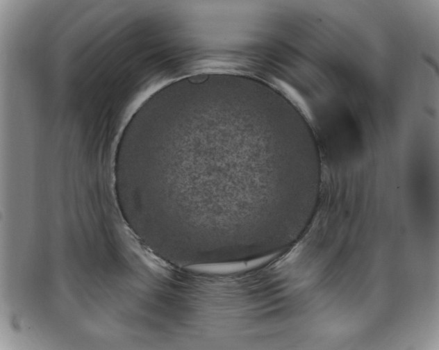 X0000098151435200804241728