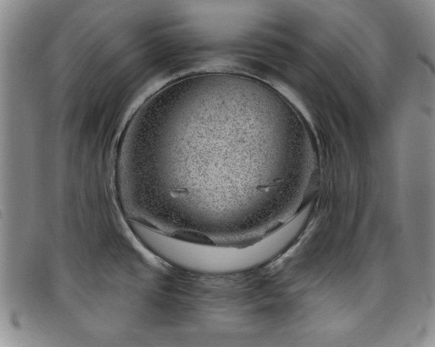 X0000098151437200804241728