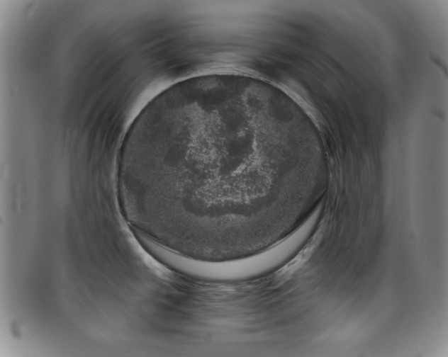 X0000098151438200804241728