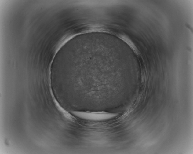 X0000098151439200804241728
