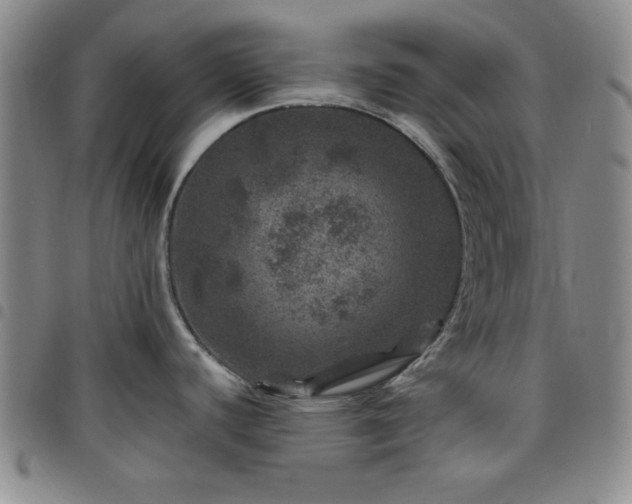 X0000098151440200804241728