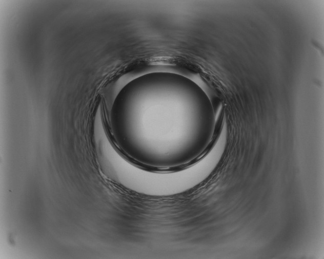 X0000098151441200804241728