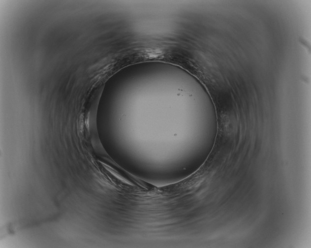 X0000098151442200804241728