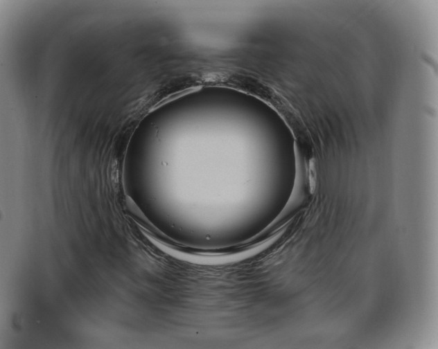 X0000098151443200804241728