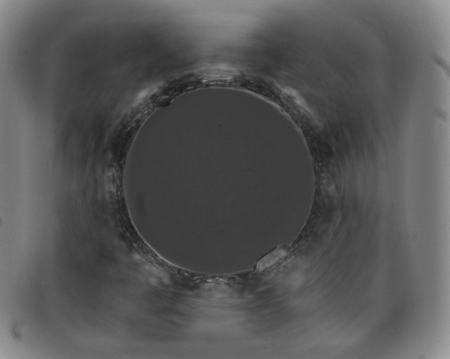 X0000098151445200804241727