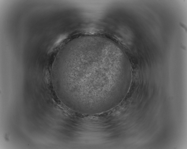 X0000098151446200804241727