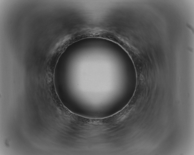 X0000098151447200804241727