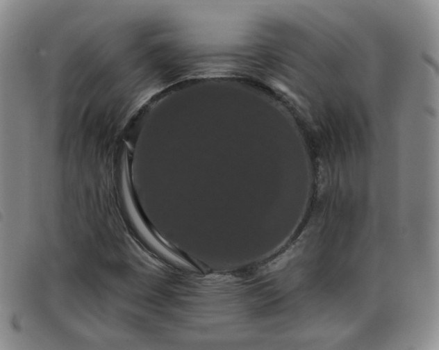 X0000098151449200804241727