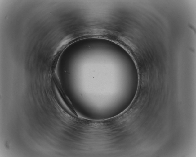 X0000098151451200804241727