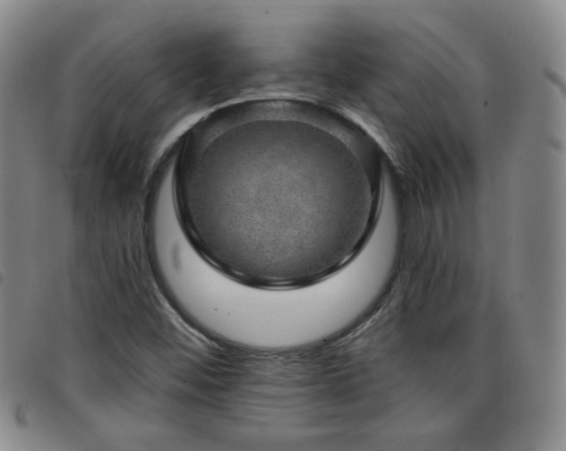 X0000098151452200804241727