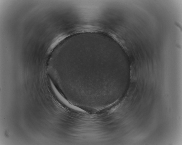 X0000098151453200804241727