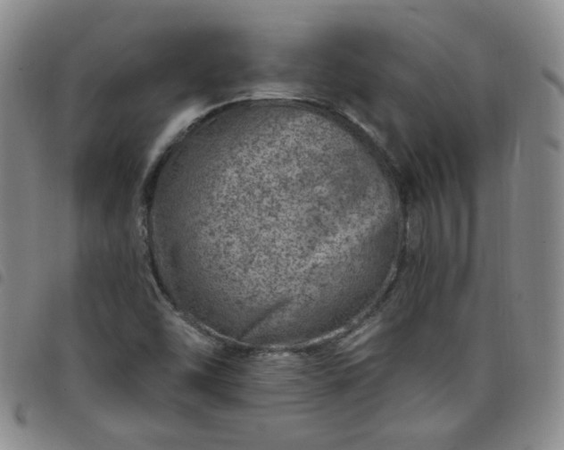 X0000098151454200804241727