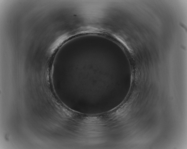 X0000098151455200804241727