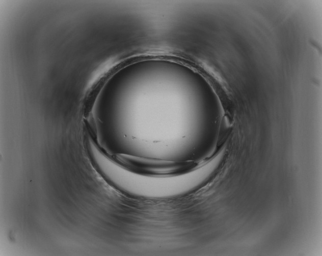 X0000098151456200804241727