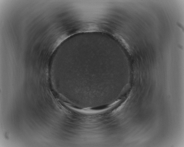 X0000098151457200804241727