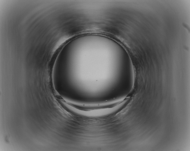 X0000098151458200804241727