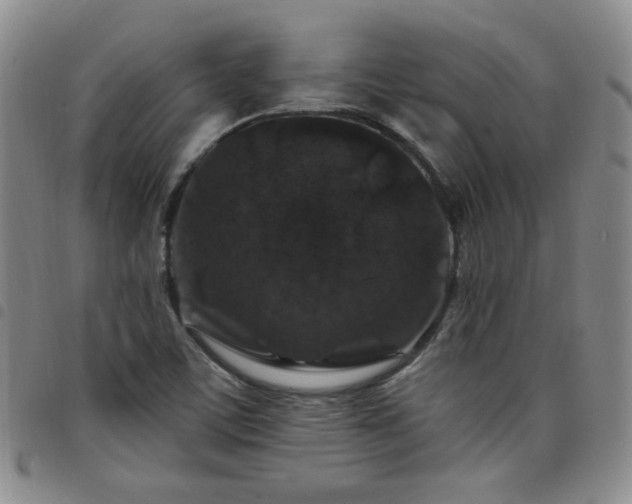 X0000098151459200804241727