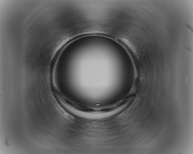 X0000098151460200804241727