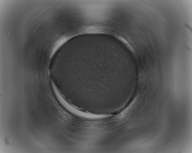 X0000098151461200804241727