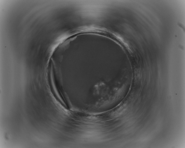 X0000098151463200804241727