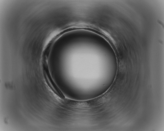 X0000098151464200804241727