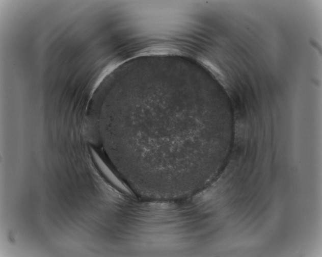X0000098151465200804241727