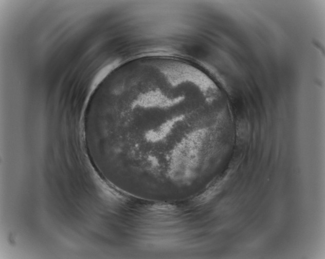 X0000098151466200804241727