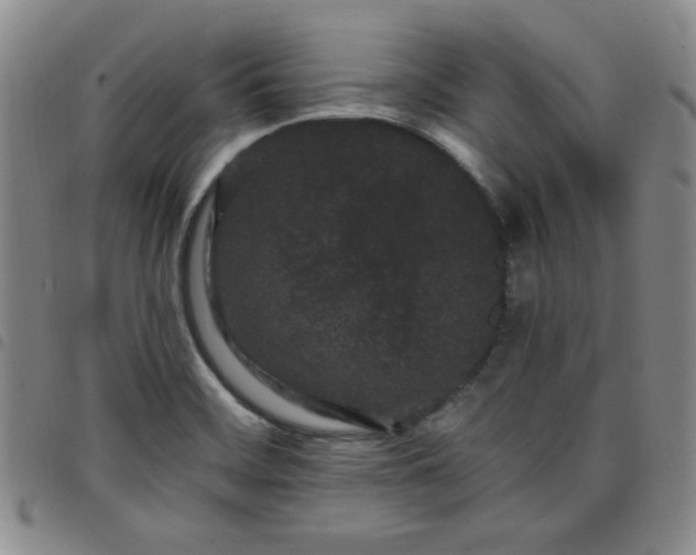 X0000098151468200804241727