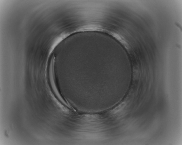 X0000098151469200804241727