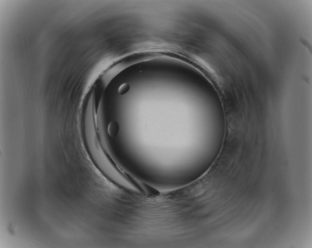 X0000098151472200804241727