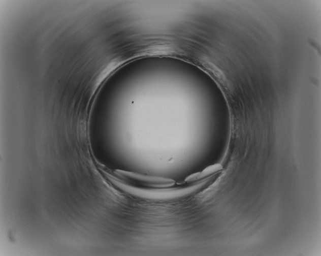 X0000098151473200804241727