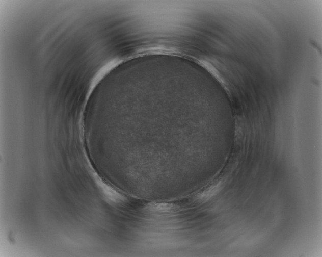 X0000098151474200804241727