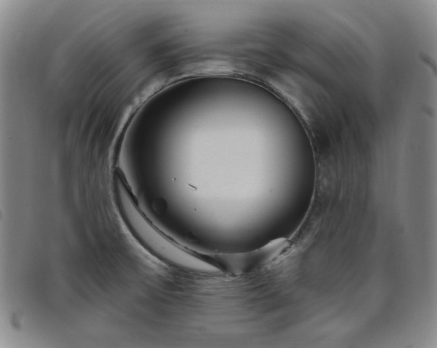 X0000098151475200804241727