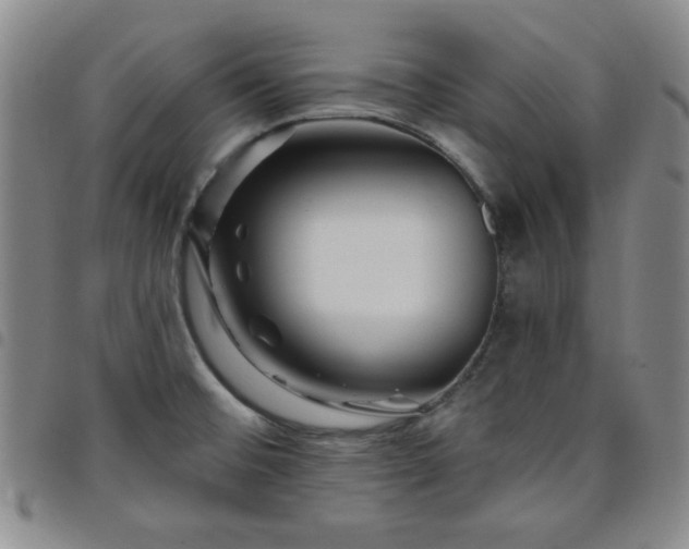 X0000098151476200804241727