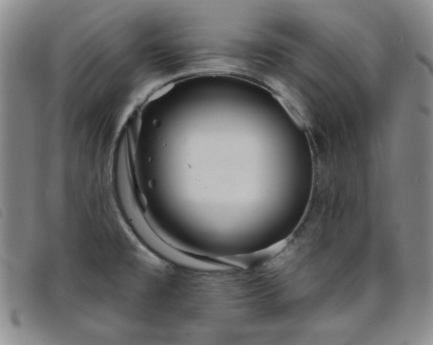 X0000098151477200804241727