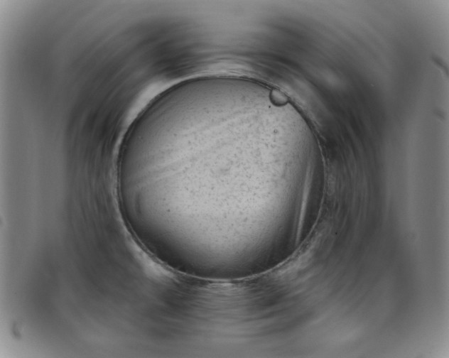 X0000098151478200804241727