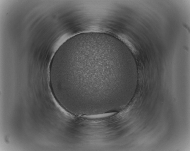 X0000098151479200804241727