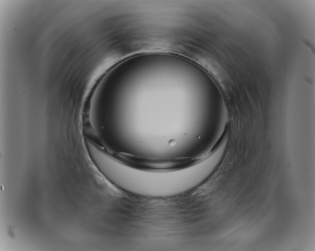 X0000098151480200804241727